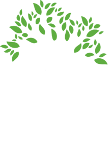 Center for Developing Kids Logo White